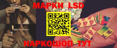 крисы Кулебаки