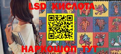 крисы Кулебаки