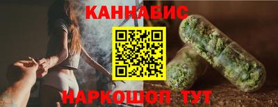 крисы Кулебаки