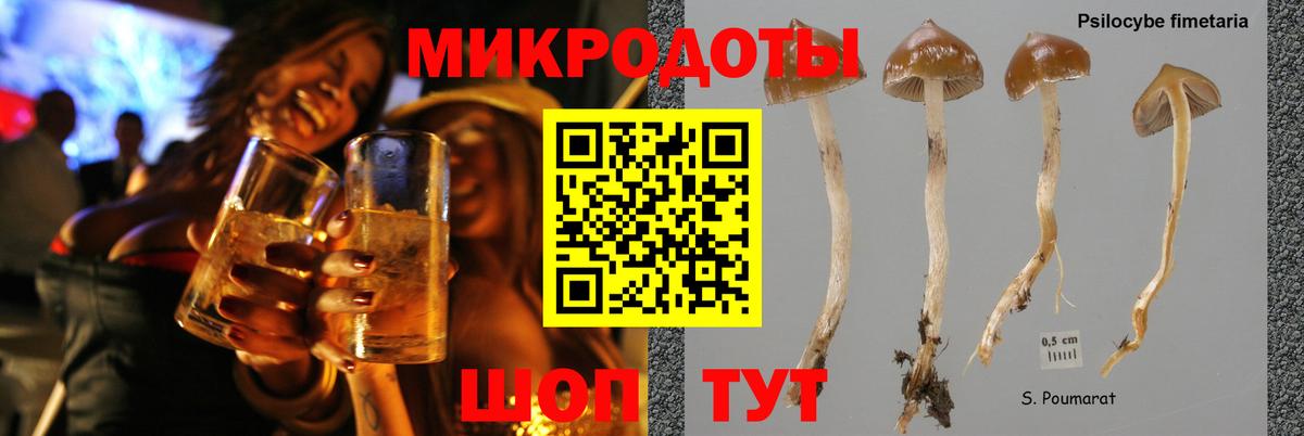 Псилоцибиновые грибы мицелий Ковров